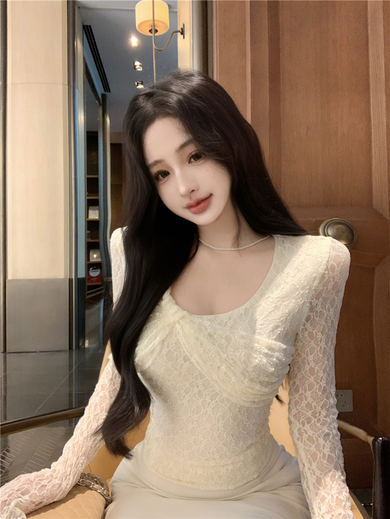 Women's Lace Puff Sleeve Fitted Waist Top